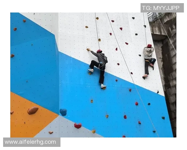 上海攀岩队防守革新探秘如何提升竞技水平与团队协作能力 上海攀岩队防守革新探秘如何提升竞技水平与团队协作能力