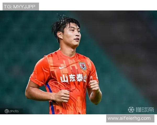 北京排球队战术变革引发热议全新打法助力球队冲击更高目标