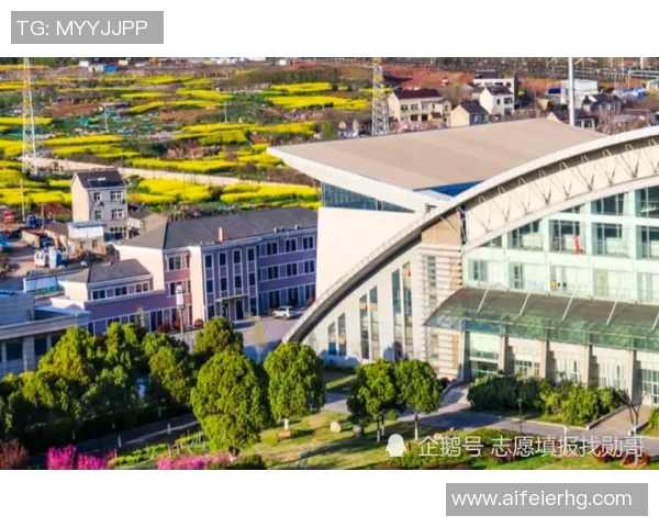 攀岩耐力实力榜单权威发布揭示顶尖选手竞技水平与训练成果