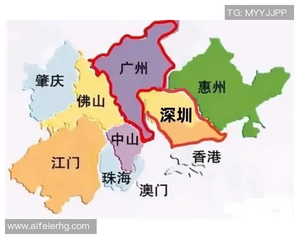 深圳排球队在世锦赛中的精彩表现与未来发展潜力分析