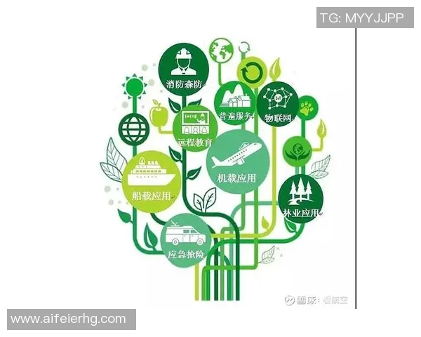 独家解读：液化天然气运输速度的全面对比与影响分析