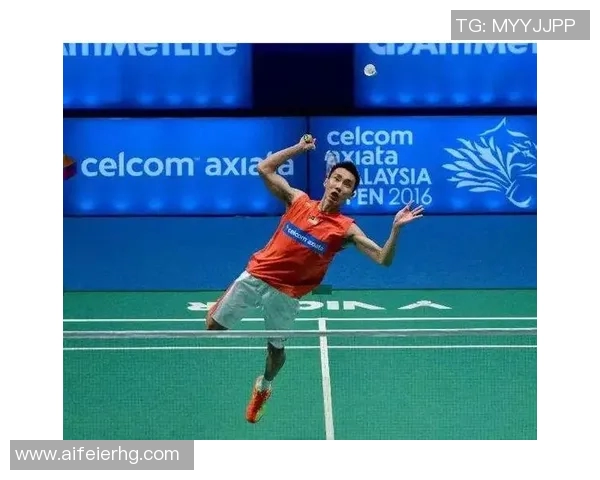 武汉羽毛球队战术解析：从训练到比赛的全面剖析与展望