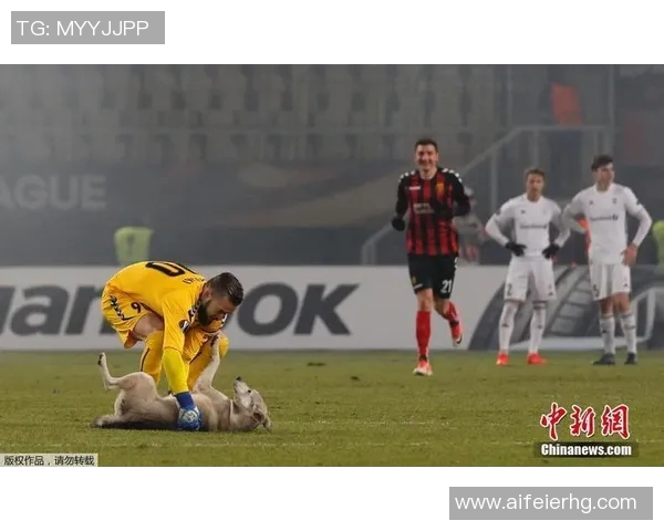 马其顿与爱沙尼亚激战正酣谁能在这场较量中笑到最后 马其顿与爱沙尼亚激战正酣谁能在这场较量中笑到最后