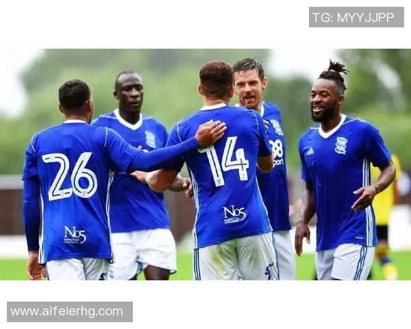 西布罗姆迎战纽卡斯尔精彩对决分析及赛前预测11月28日