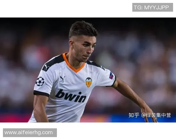 费兰托雷斯的崛起之路：从青训天才到足球场上的闪耀明星