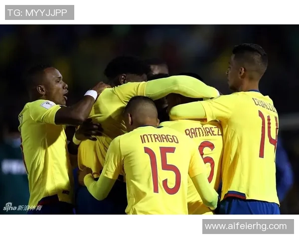 阿根廷与厄瓜多尔激战正酣最终结果揭晓引发热议